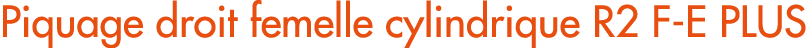Piquage droit femelle cylindrique R2 F E PLUS